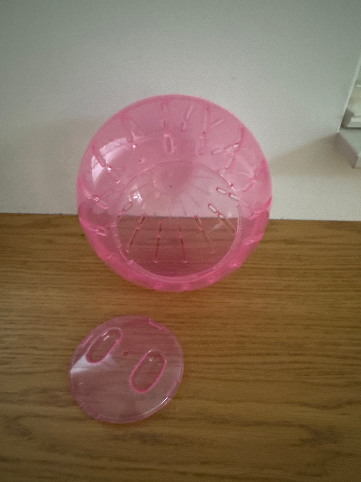 Roze bal voor een hamster om mee door het huis te rennen, Ophalen of Verzenden, Nieuw, Speelgoed