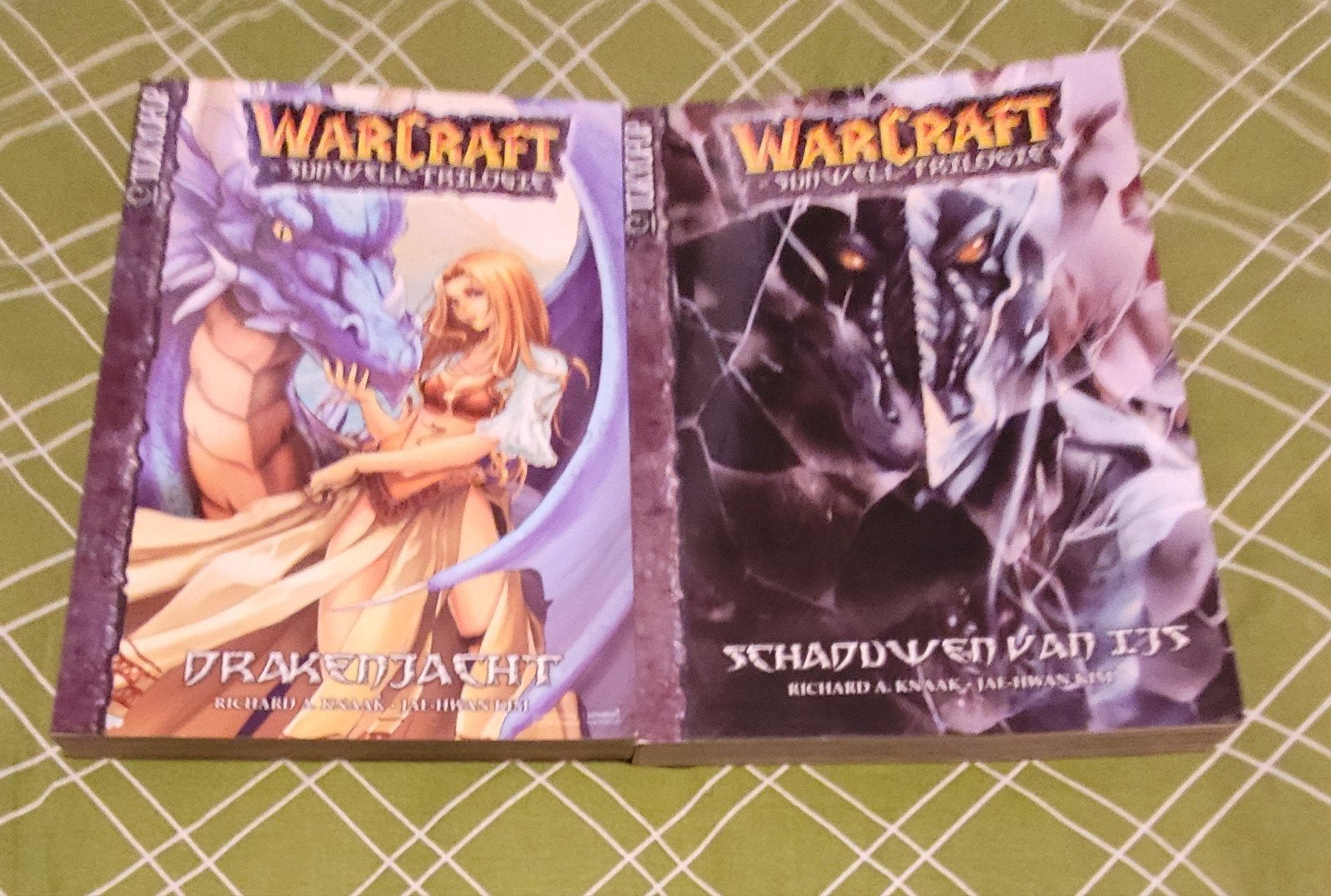 Manga's Warcraft drakenjacht en schaduwen van ijs, R. Knaak, Ophalen of Verzenden, Zo goed als nieuw, Japan (Manga)
