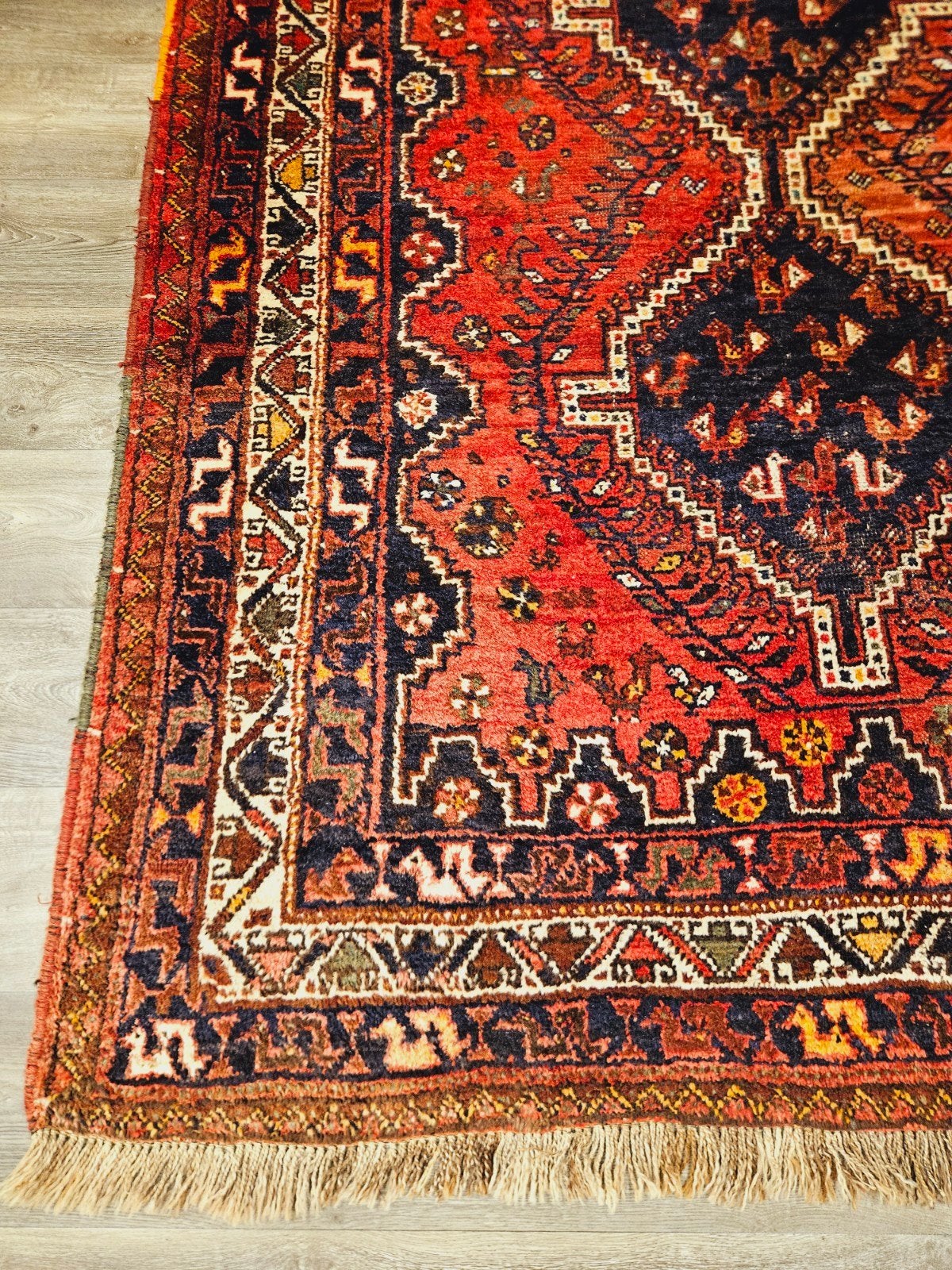 Perzisch Handgeknoopt Quasqai Tapijt. prachtige kleuren, Perzisch, 150 tot 200 cm, 200 cm of meer, Ophalen of Verzenden