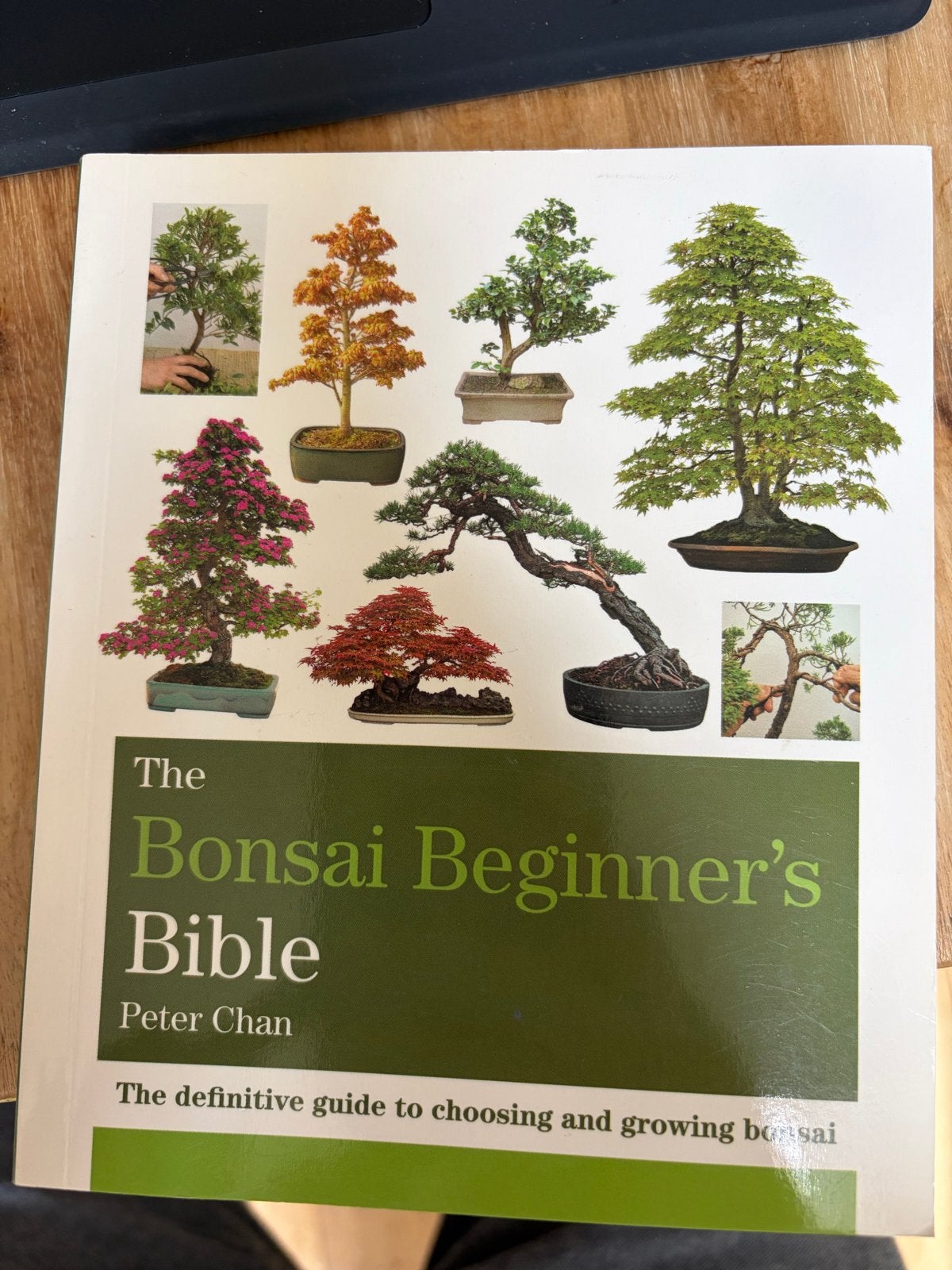 The Bonsai Beginner's Bible - Peter Chan (Zo goed als nieuw), Ophalen of Verzenden, Zo goed als nieuw, Overige onderwerpen