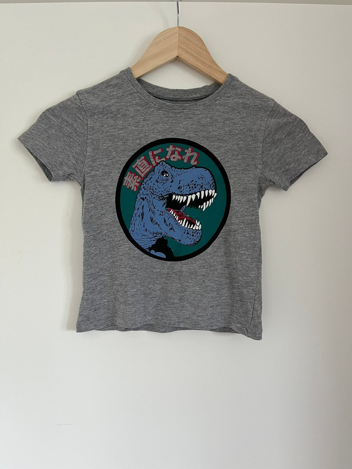 Lichtgrijs t-shirt  met dino / dinosaurus, maat 104 Primark, Ophalen of Verzenden, Zo goed als nieuw, Jongen, Shirt of Longsleeve