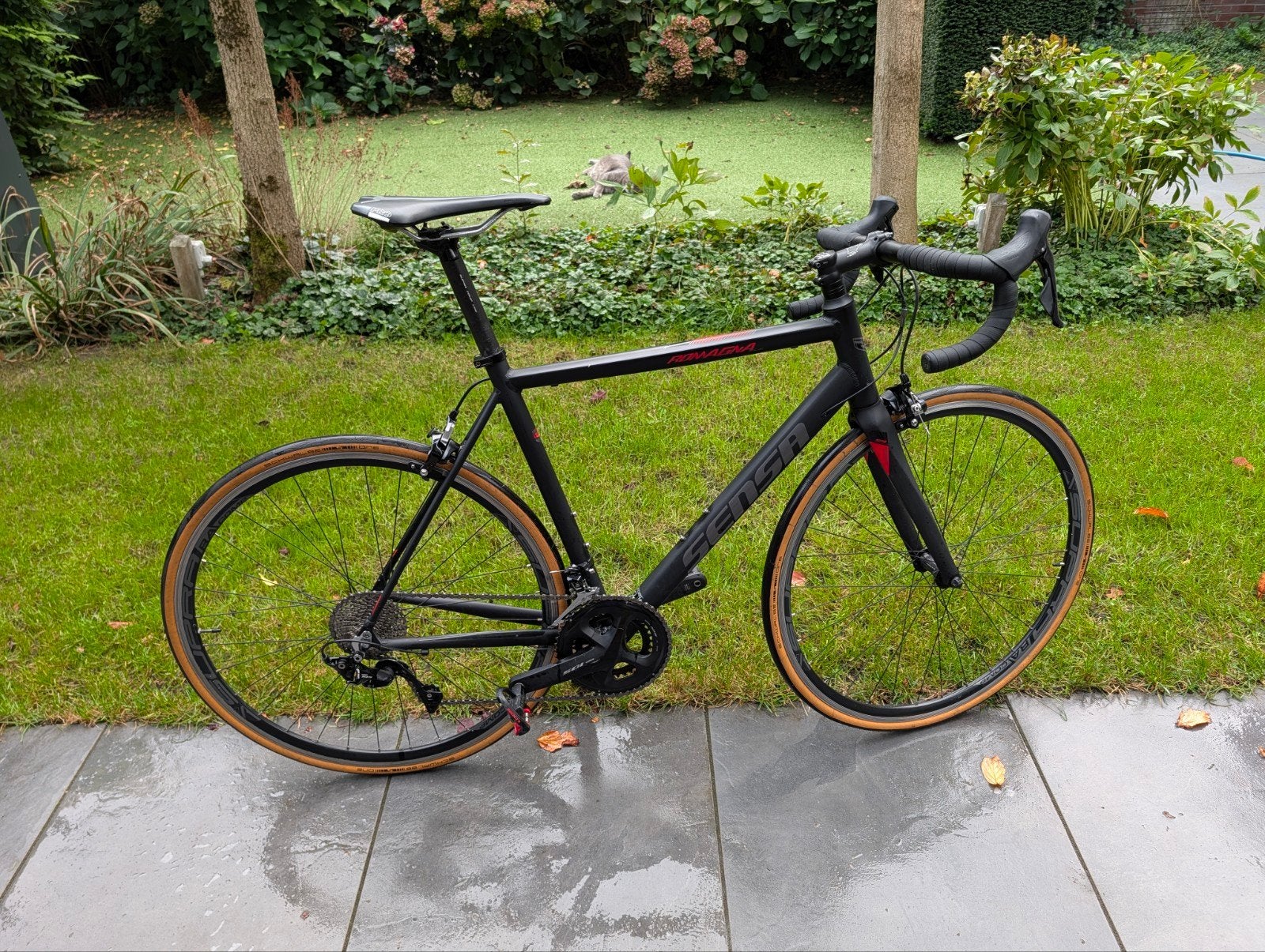 Sensa Romagna racefiets met powermeter, 28 inch, Velgrem, Zo goed als nieuw, Meer dan 20 versnellingen
