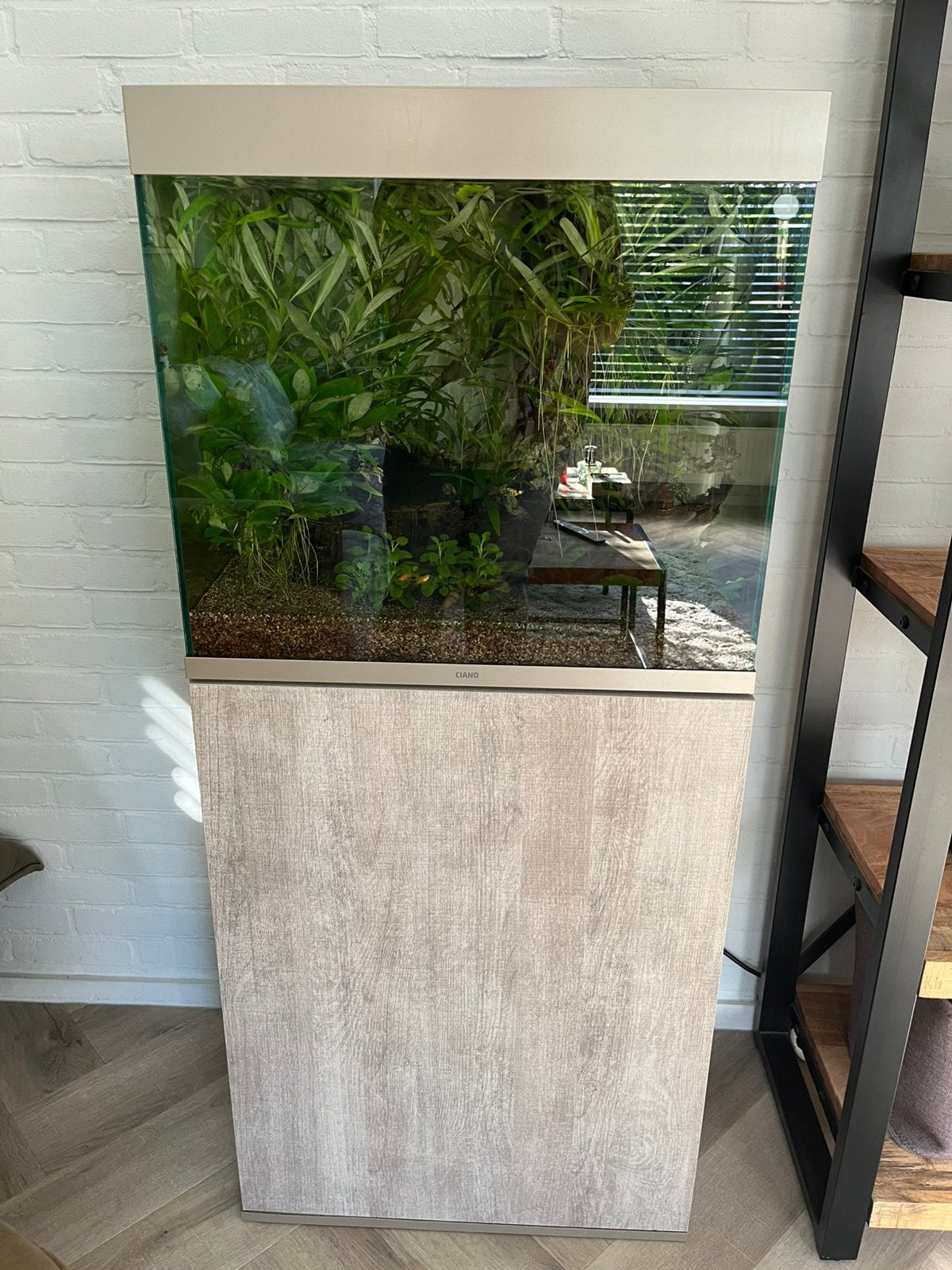 Aquarium Ciano 60, Ophalen, Verwarming, Overige merken, Gevuld zoetwateraquarium