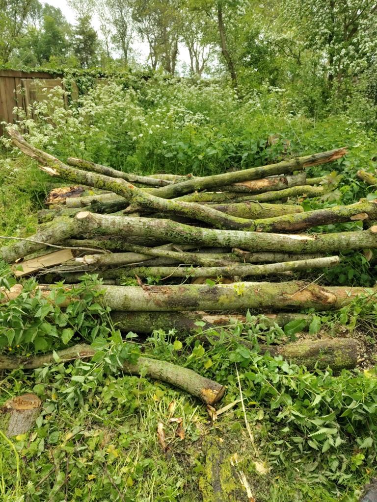 Haardhout, 3 tot 6 m³, Ophalen of Verzenden, Overige houtsoorten, Stammen