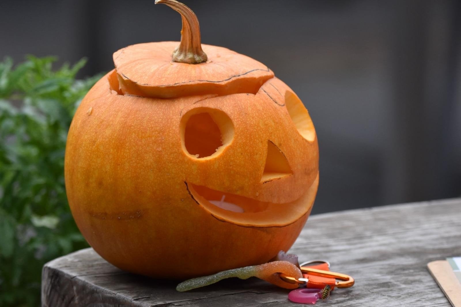 Halloween pompoenen, Tuin en Terras, Ophalen of Verzenden