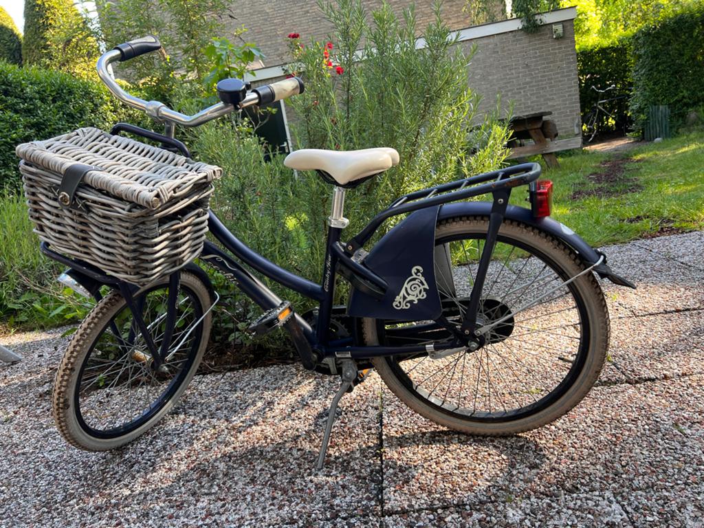 Loekie blauwe meisjesfiets transport met mandje, Fietsen en Brommers, Ophalen, Gebruikt, Terugtraprem, 20 inch