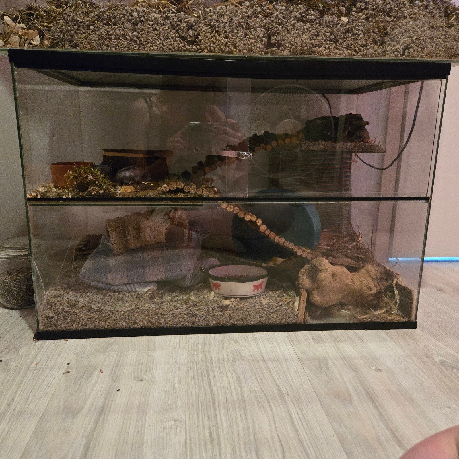 Hamster terrarium 80x40, Dieren en Toebehoren, Knaagdieren en Konijnen | Hokken en Kooien, Gebruikt, Muis, Hok, 75 tot 110 cm