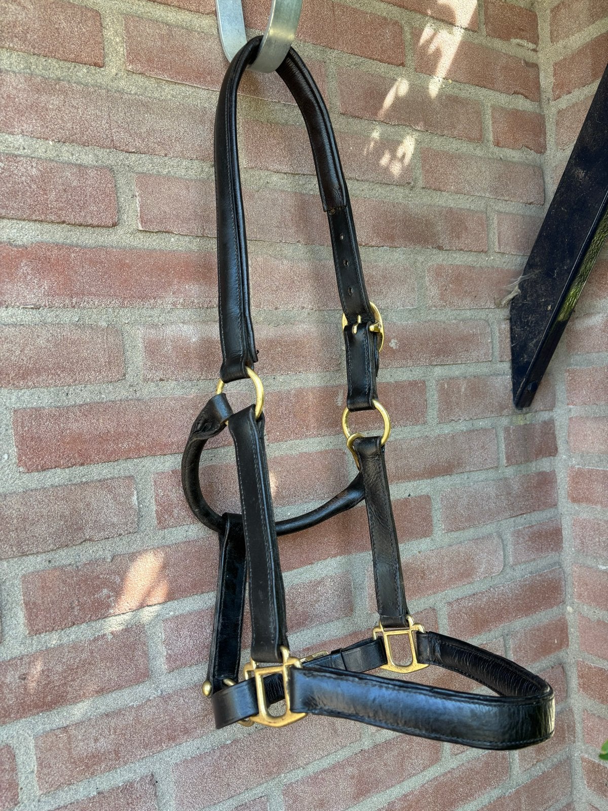 Halster paard leer zwart messing maat Full, Ophalen of Verzenden, Zo goed als nieuw