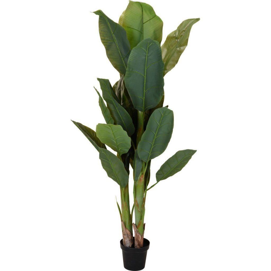 Kunstplant Bananenboom 80x165 cm Groen, Ophalen, Binnen, Home & Styling, Home & Styling