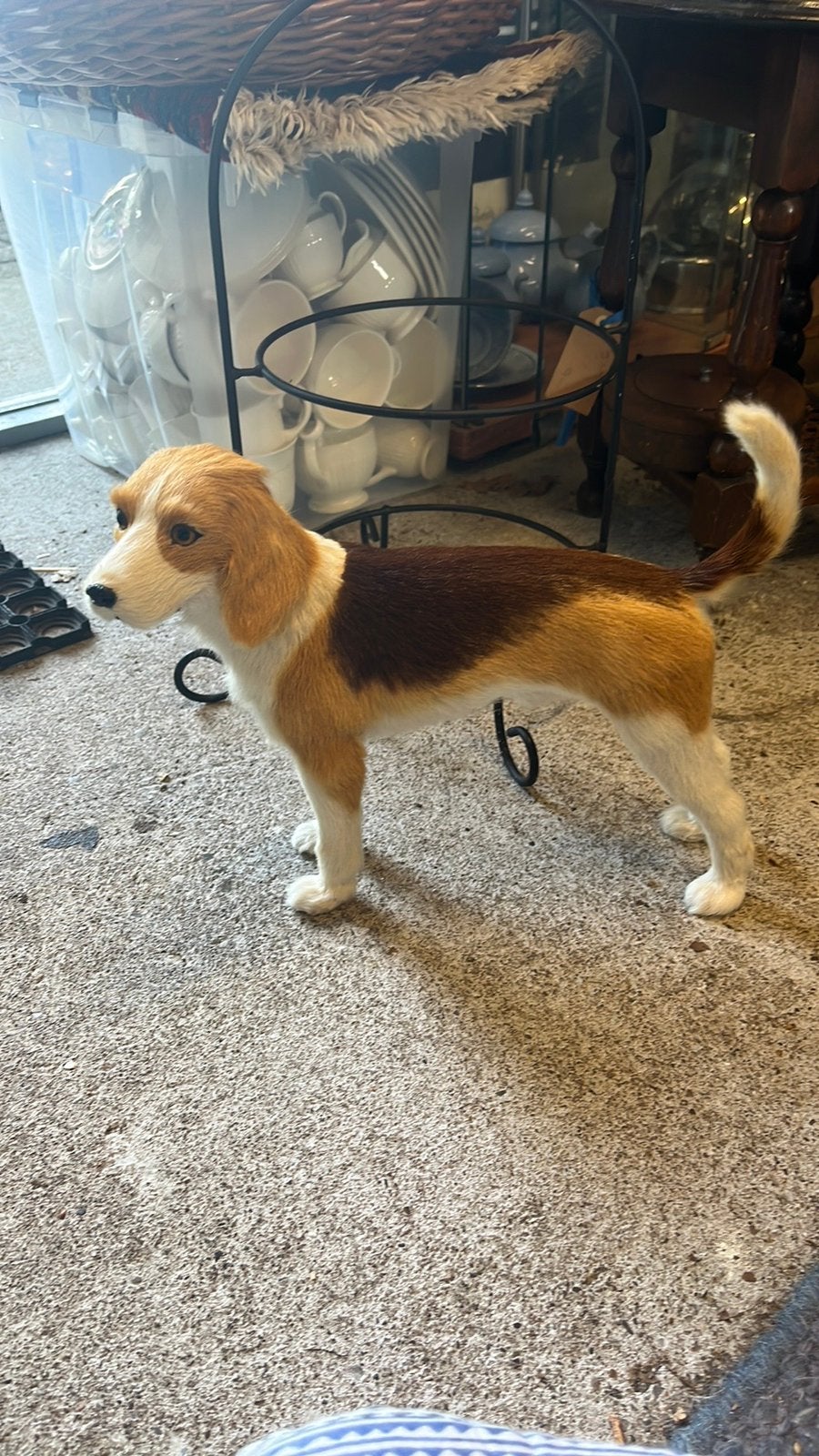 Beagle , levensecht, met echt haar, Ophalen of Verzenden, Zo goed als nieuw, Beeldje of Figuurtje