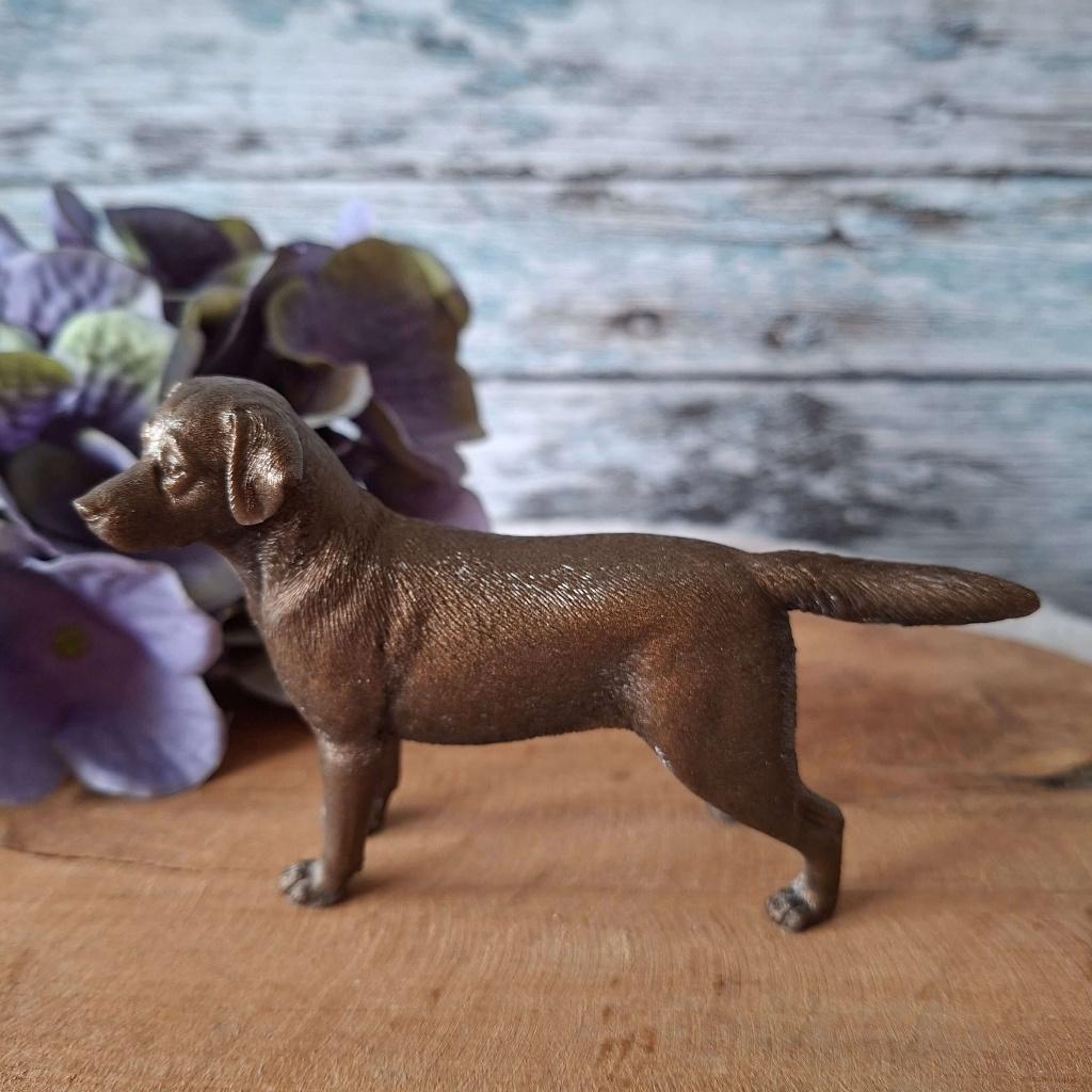 Labrador beeld brons bruin, Ophalen of Verzenden, Nieuw, Dier