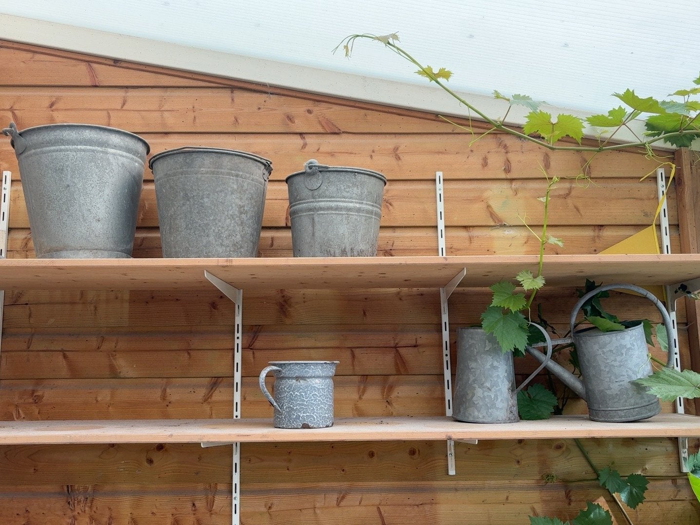 3 oude zinken emmers + gieters, Tuin en Terras, Ophalen, Gebruikt, Metaal, Overige typen
