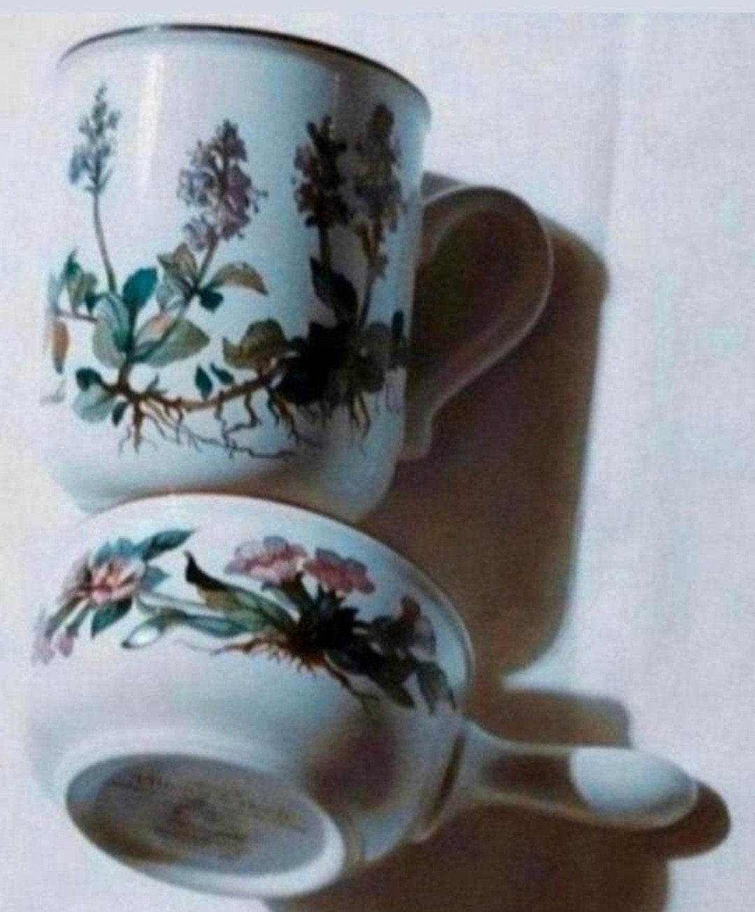 V&B Botanica schaaltjes pannetje mok kruiden planten, Antiek en Kunst, Ophalen of Verzenden