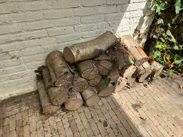 Openhaard hout, Minder dan 3 m³, Ophalen, Berkenhout, Stammen
