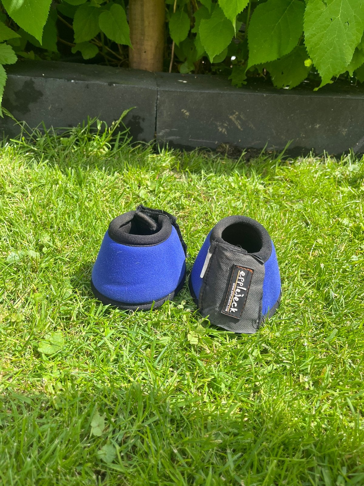 Springschoenen maat Shet, Dieren en Toebehoren, Ophalen of Verzenden, Zo goed als nieuw, Rijden