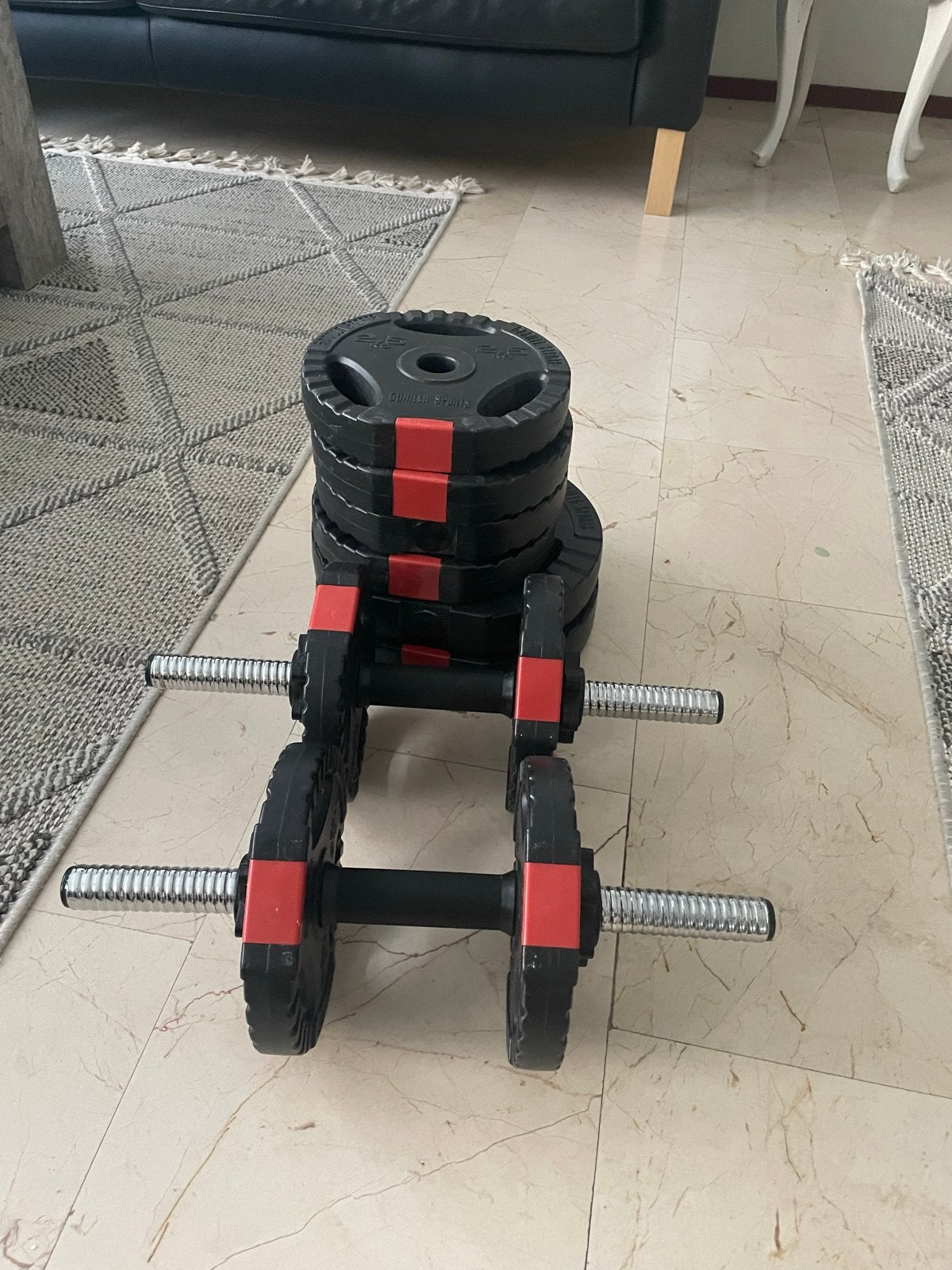 Dumbbellset met Halterschijven - Gorilla Sports, Ophalen of Verzenden, Gebruikt, Armen, Halterset