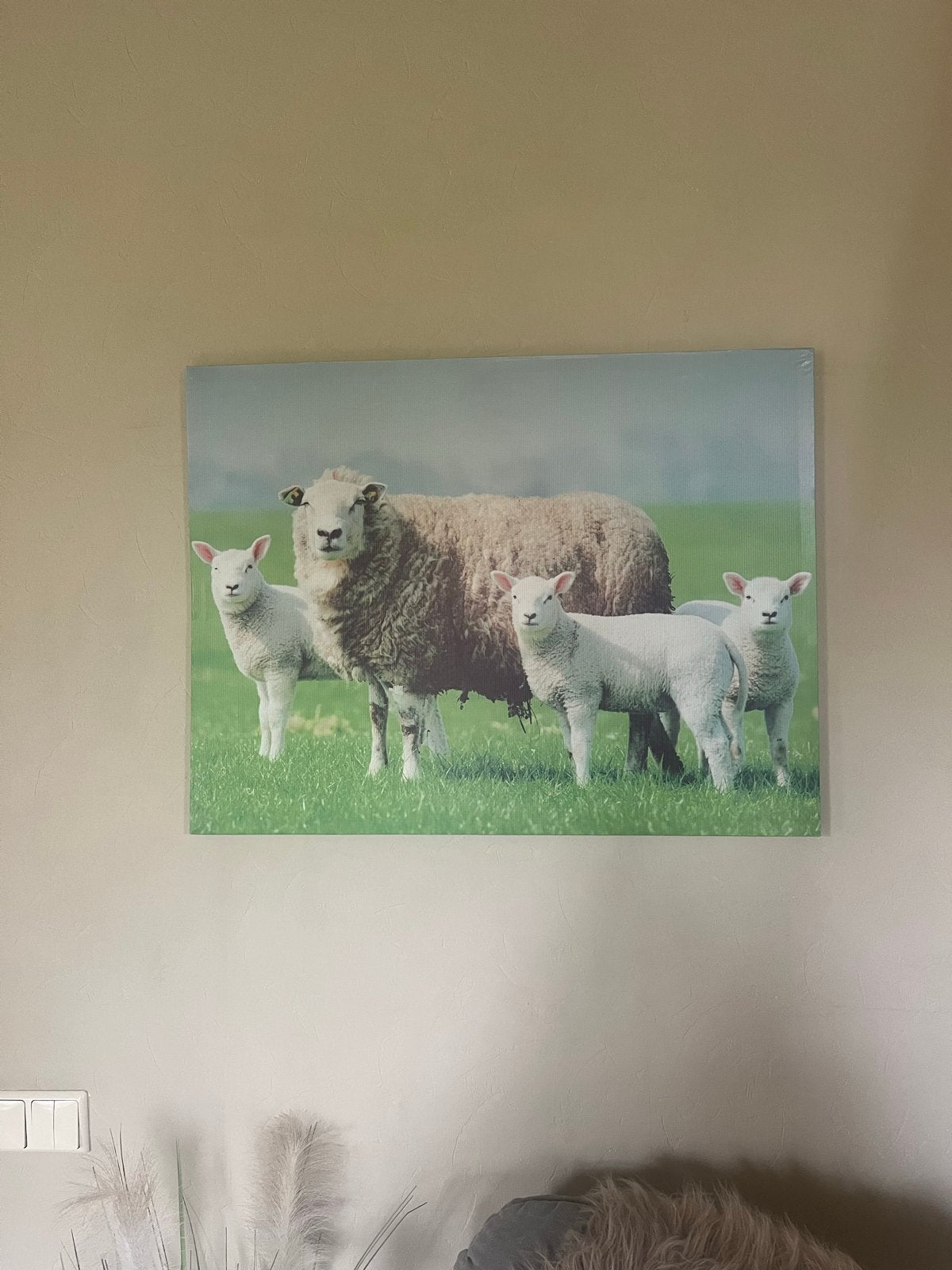 Canvas schilderij met schapen en lammetjes, Ophalen of Verzenden, Gebruikt, Print