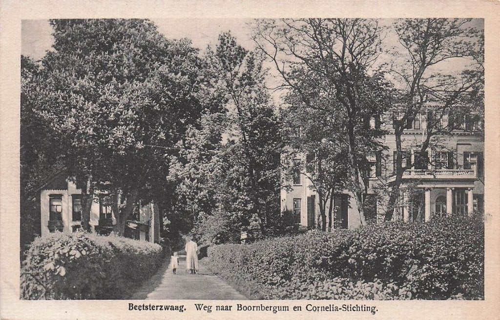 703-193-013 Beetsterzwaag Weg naar Boornbergum en Cornelia-, Verzamelen, Ansichtkaarten | Nederland, Verzenden, Voor 1920, Friesland