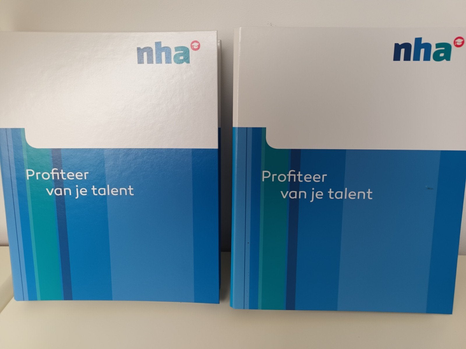 NHA cursus Tekenen en Schilderen, Ophalen of Verzenden, Boek, Taal en Studie