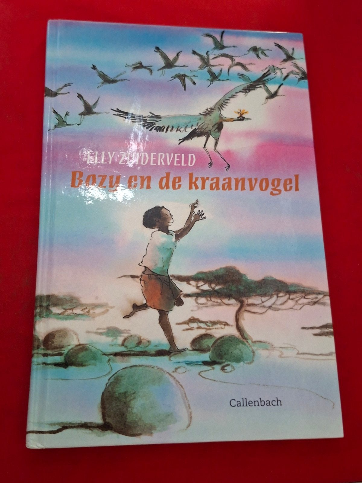 GESIGNEERD Bozy en de kraanvogel. Elly Zuiderveld., Ophalen of Verzenden, Gelezen