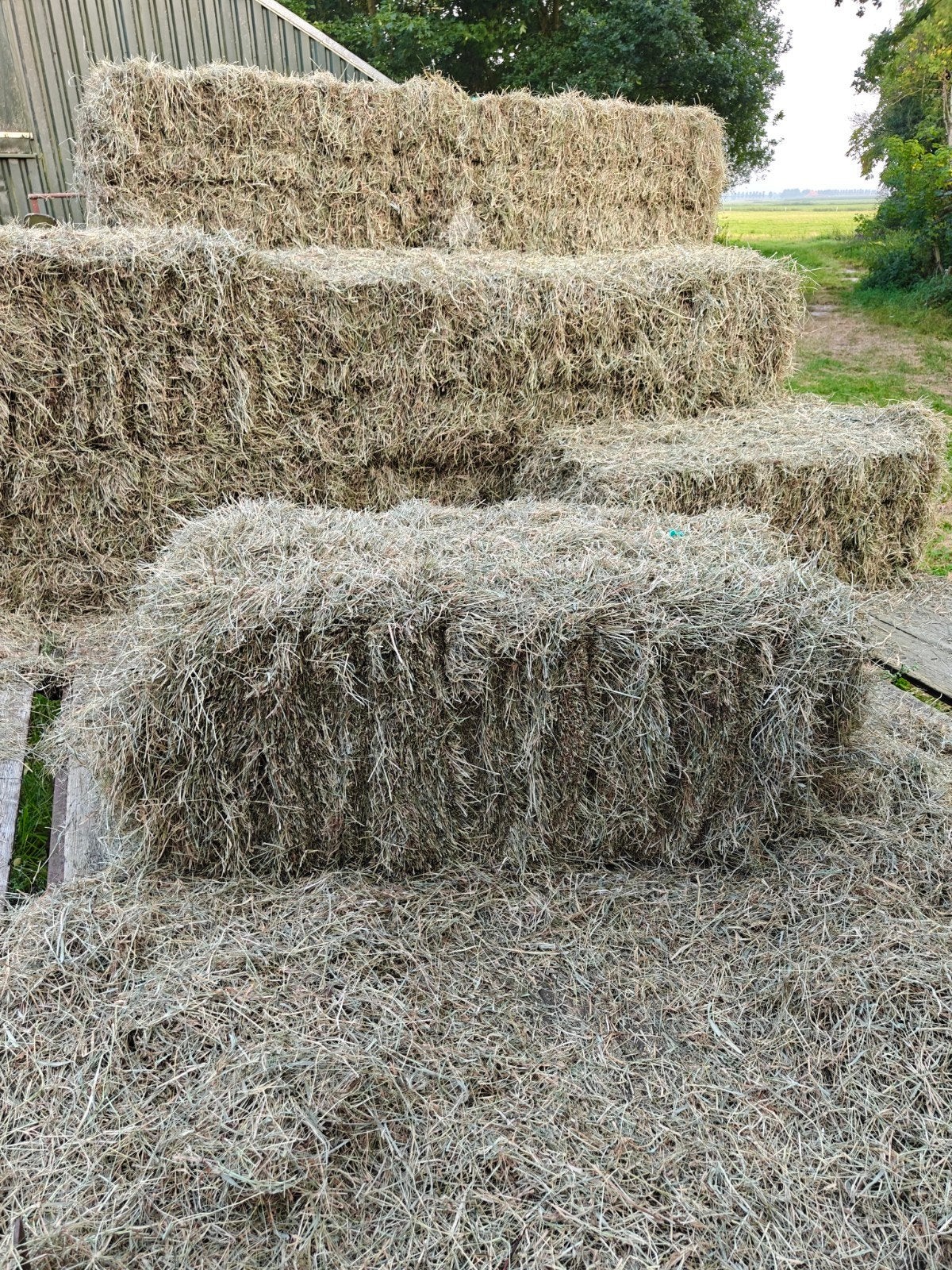 Hooi 2e snee licht bemest, oud grasland, onkruidvrij, Ophalen of Verzenden