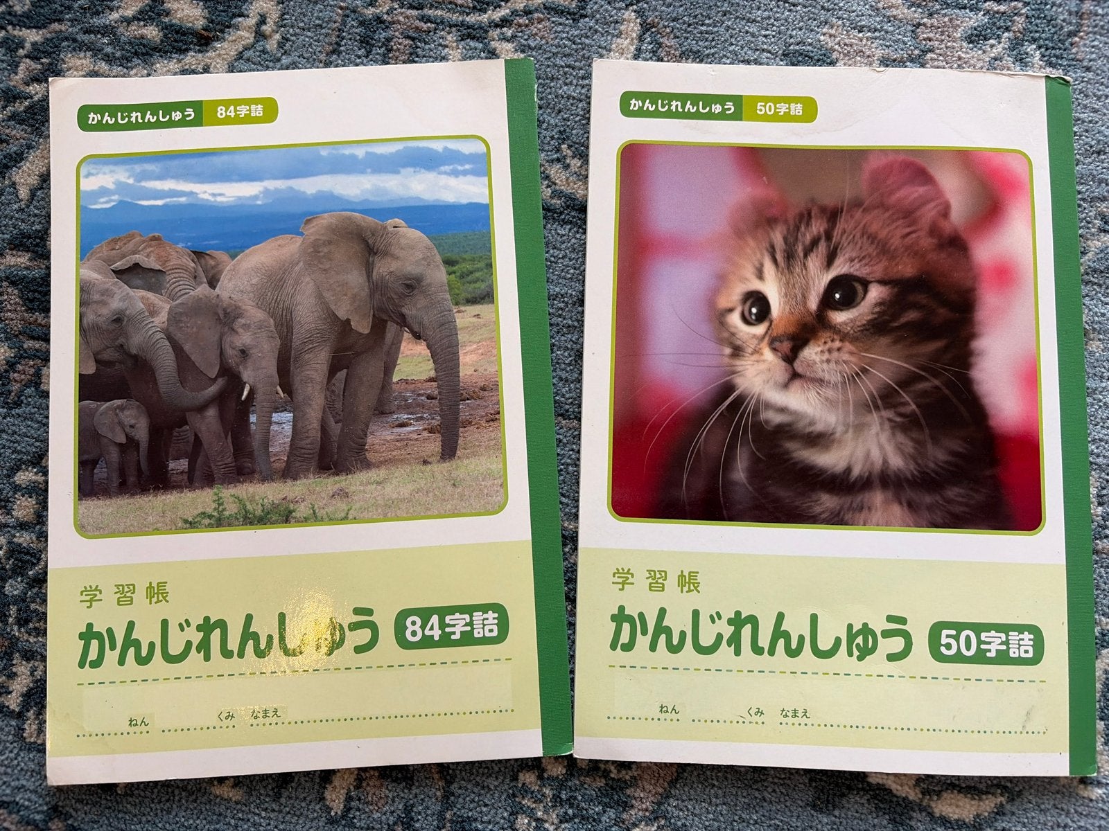Japanse Kanji Oefenboeken (2 stuks), Boeken, Ophalen of Verzenden, Gelezen, Overige niveaus, Overige vakken