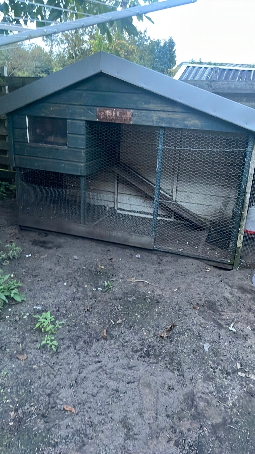 Kippen hok met 5 legkippen, Ophalen, Zo goed als nieuw, Kippenhok of Kippenren