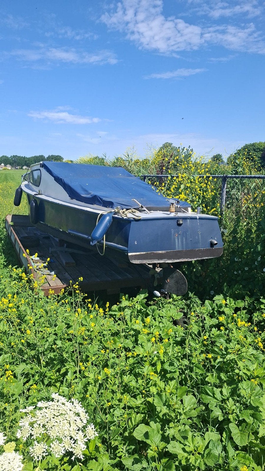 Kajuitboot met Volvo Penta motor, Watersport en Boten, Motorboten en Motorjachten, Kajuitboot, Ophalen of Verzenden, Binnenboordmotor