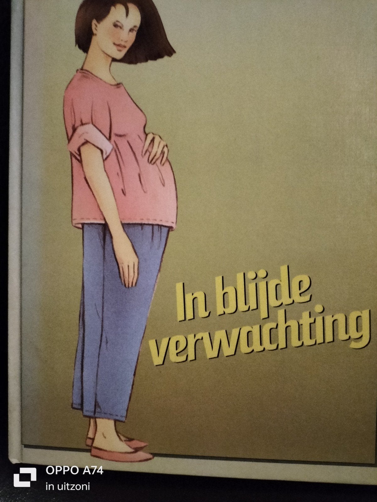 In Blijde Verwachting - Zwangerschap en Bevalling, Ophalen of Verzenden, Gelezen, Zwangerschap en Bevalling, Onbekend