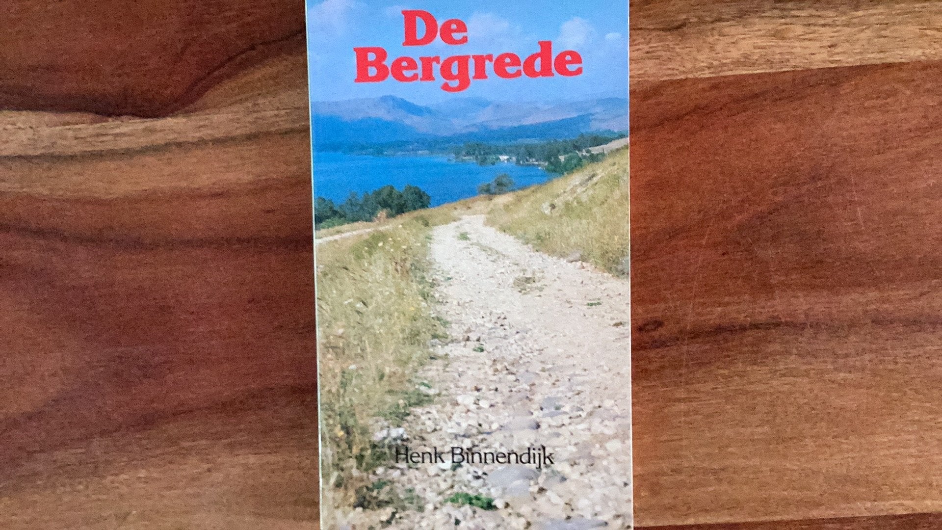 Henk Binnendijk - De Bergrede, Gelezen, Verzenden, Christendom | Protestants, Henk Binnendijk