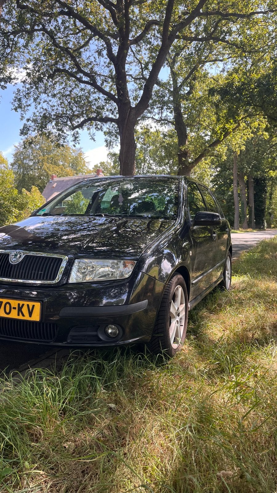 Skoda Fabia met stoelverwarming en lederen bekleding, 450 kg, Zwart, 1035 kg, Particulier