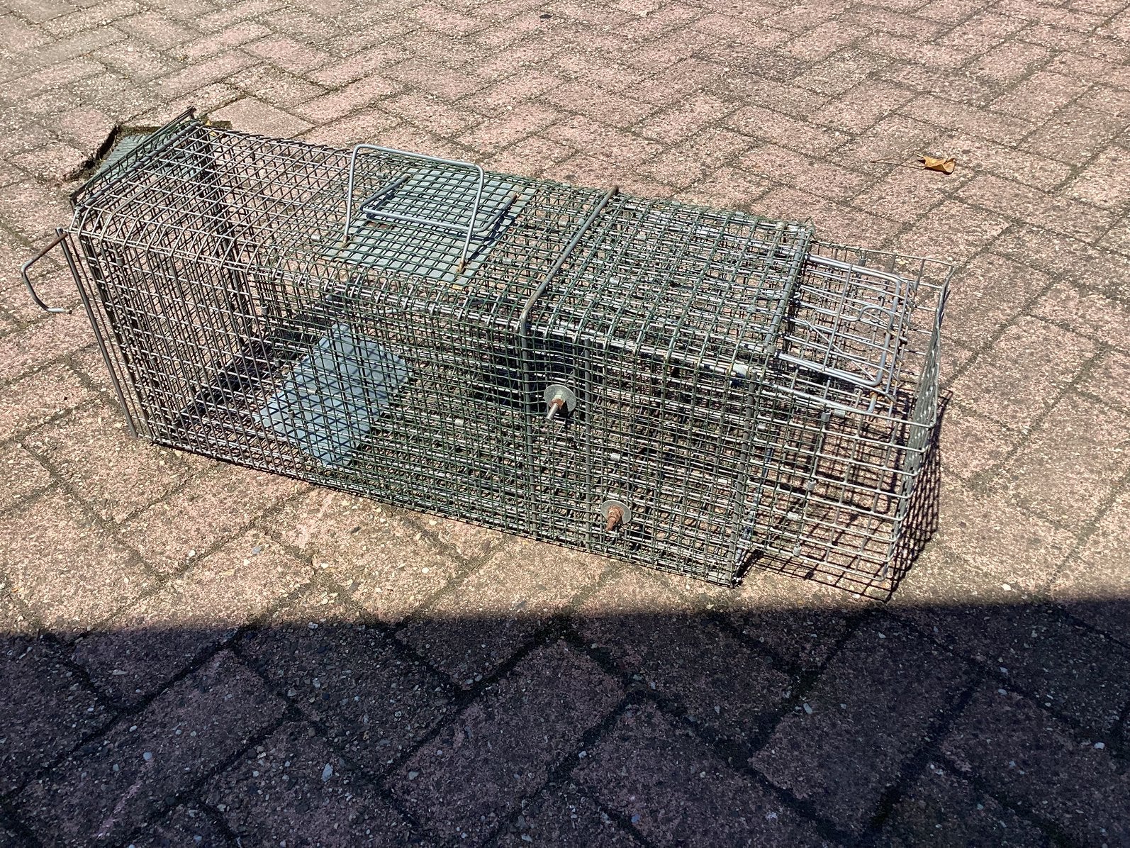 Rattenval vangkooi, Ophalen of Verzenden, Zo goed als nieuw, Ongediertebestrijding