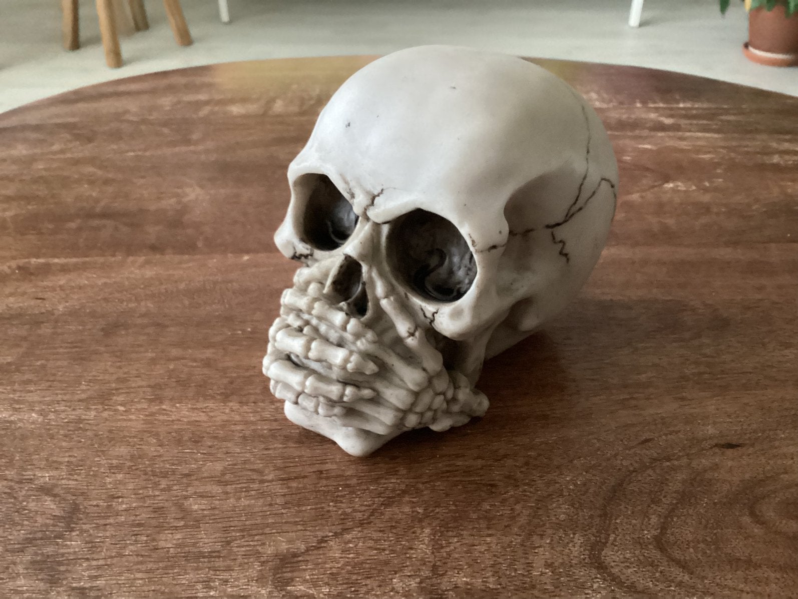 Skull Spaarpot, Ophalen of Verzenden, Nieuw, Kunststof