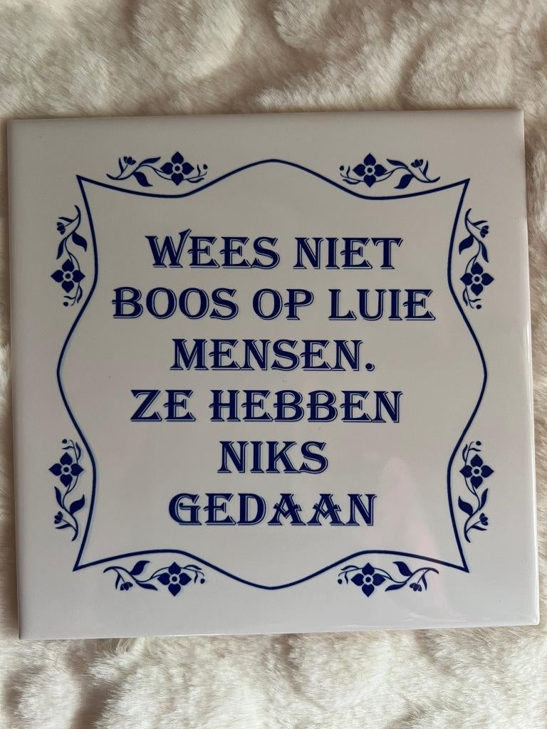 Tegel wijsheden. Spreuken. cadeau. Tegeltje, Ophalen of Verzenden, Nieuw