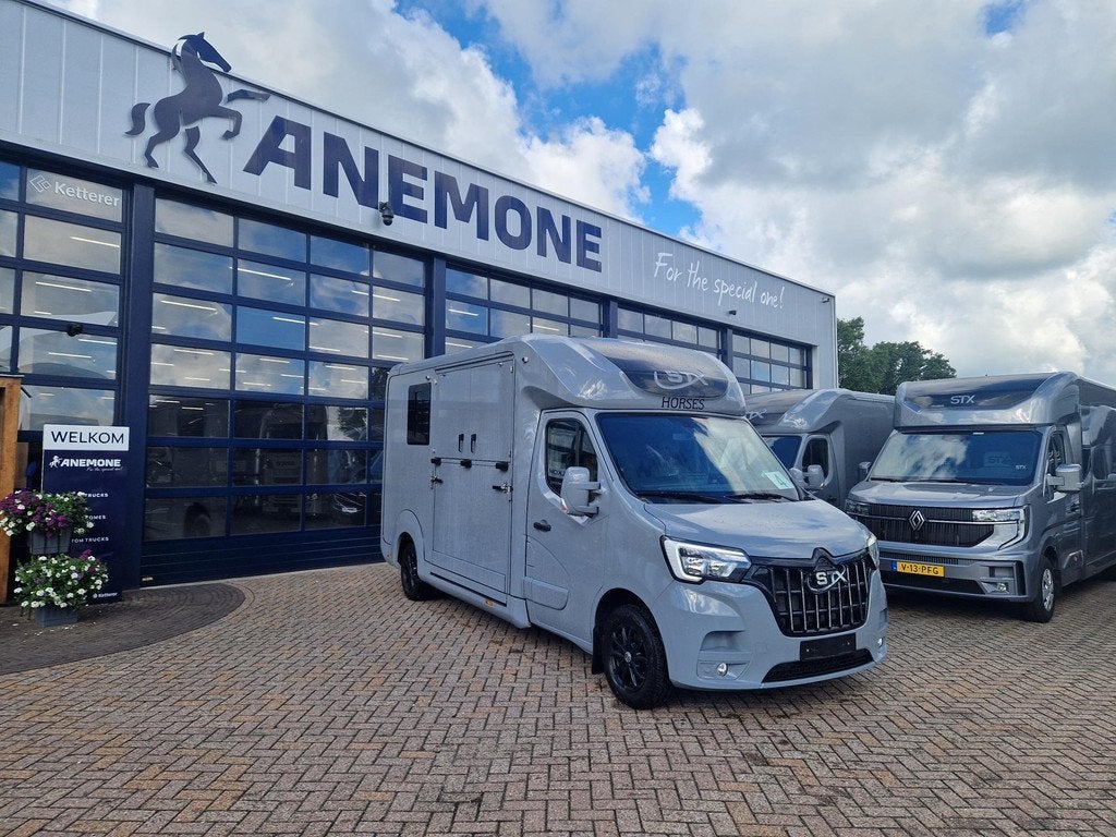 Renault Master STX S3 paardenwagen Pro-Safety hengsten uitvo, Gebruikt, Overige typen