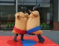 TE HUUR: sumoworstelpakken te huur! Veel sets beschikbaar!, Ophalen of Verzenden, Zo goed als nieuw, Overige