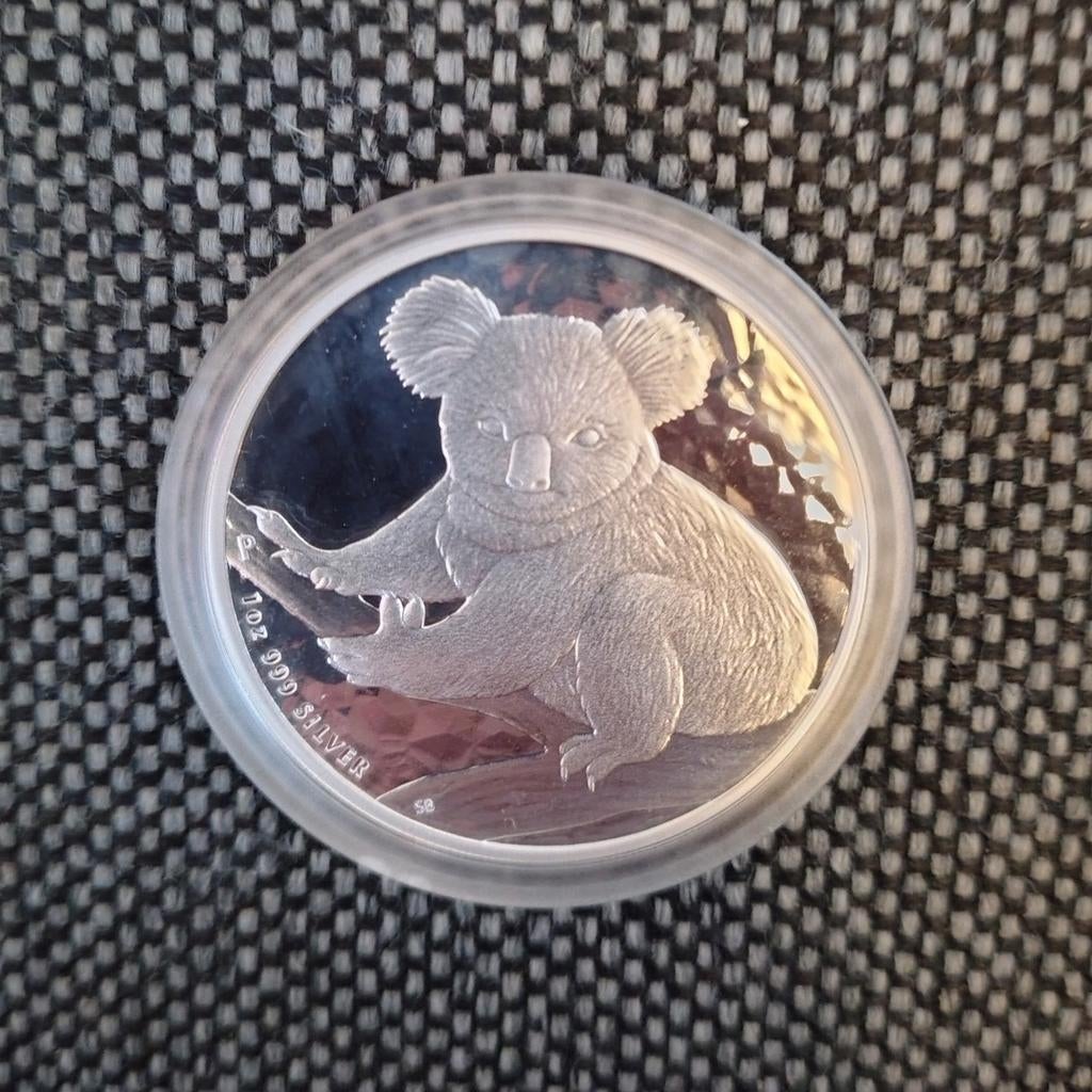 Koala 2009 1 Oz zilveren munt 1 Dollar oplage 336.757, Ophalen of Verzenden, Zilver