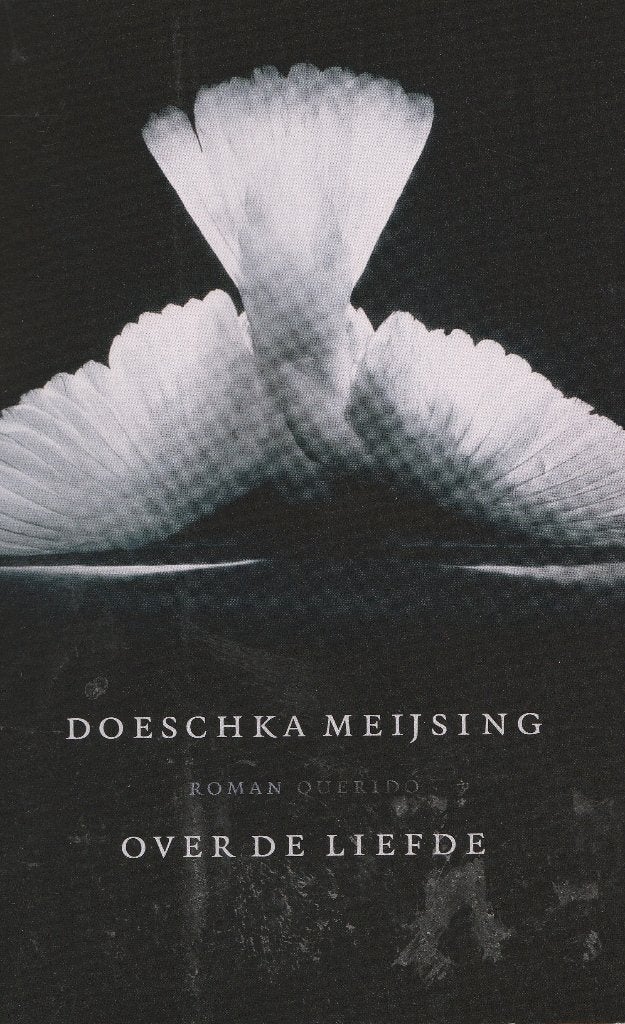 Doeschka Meijsing : over de liefde ( lesbisch ), Ophalen of Verzenden, Gelezen