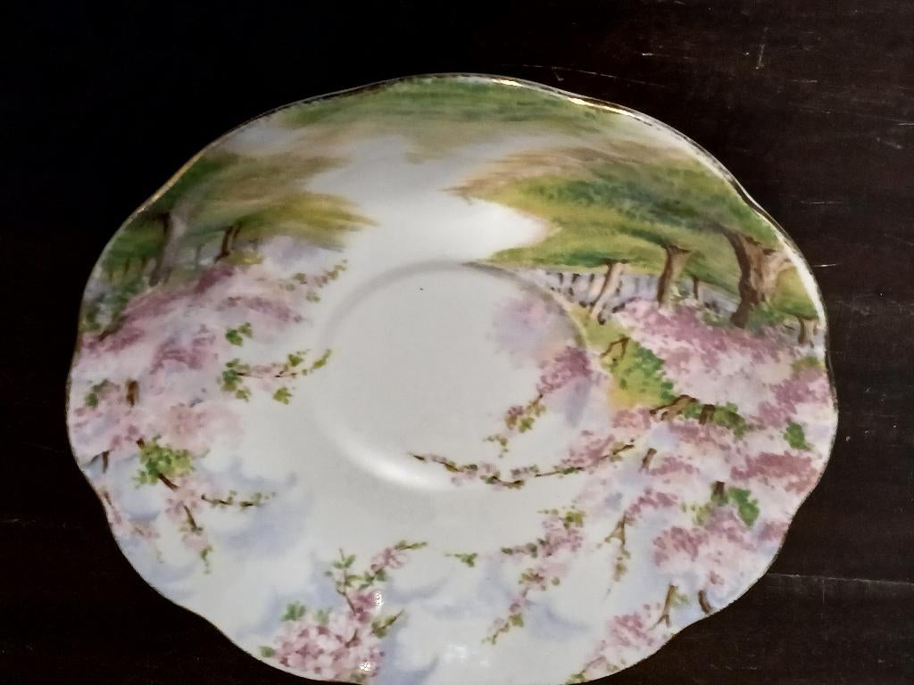 Royal Albert Blossom Time heren schotel, Ophalen of Verzenden, Zo goed als nieuw, Porselein, Kop en/of schotel