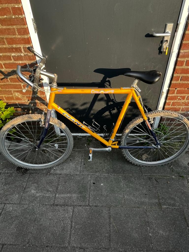 Giant mountain bike, Fietsen en Brommers, Fietsen | Mountainbikes en ATB, 53 tot 57 cm, Ophalen, Gebruikt, Giant