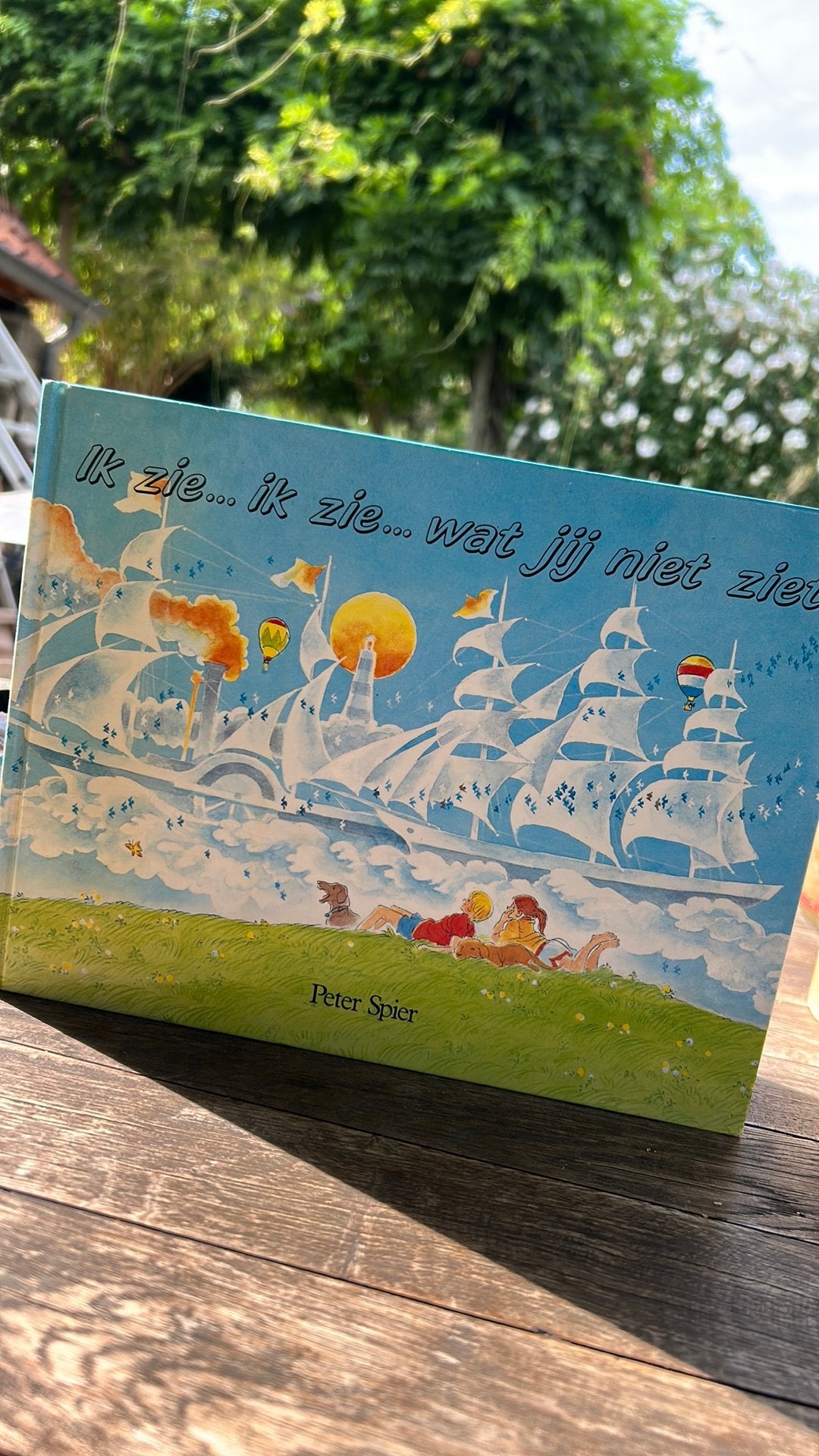 Peter Spier Ik zie…ik zie…wat jij niet ziet vintage, Boeken, Ophalen of Verzenden, Gelezen, Prentenboek