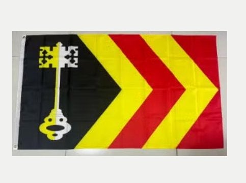 Grote vlag Bladel (150x90cm)