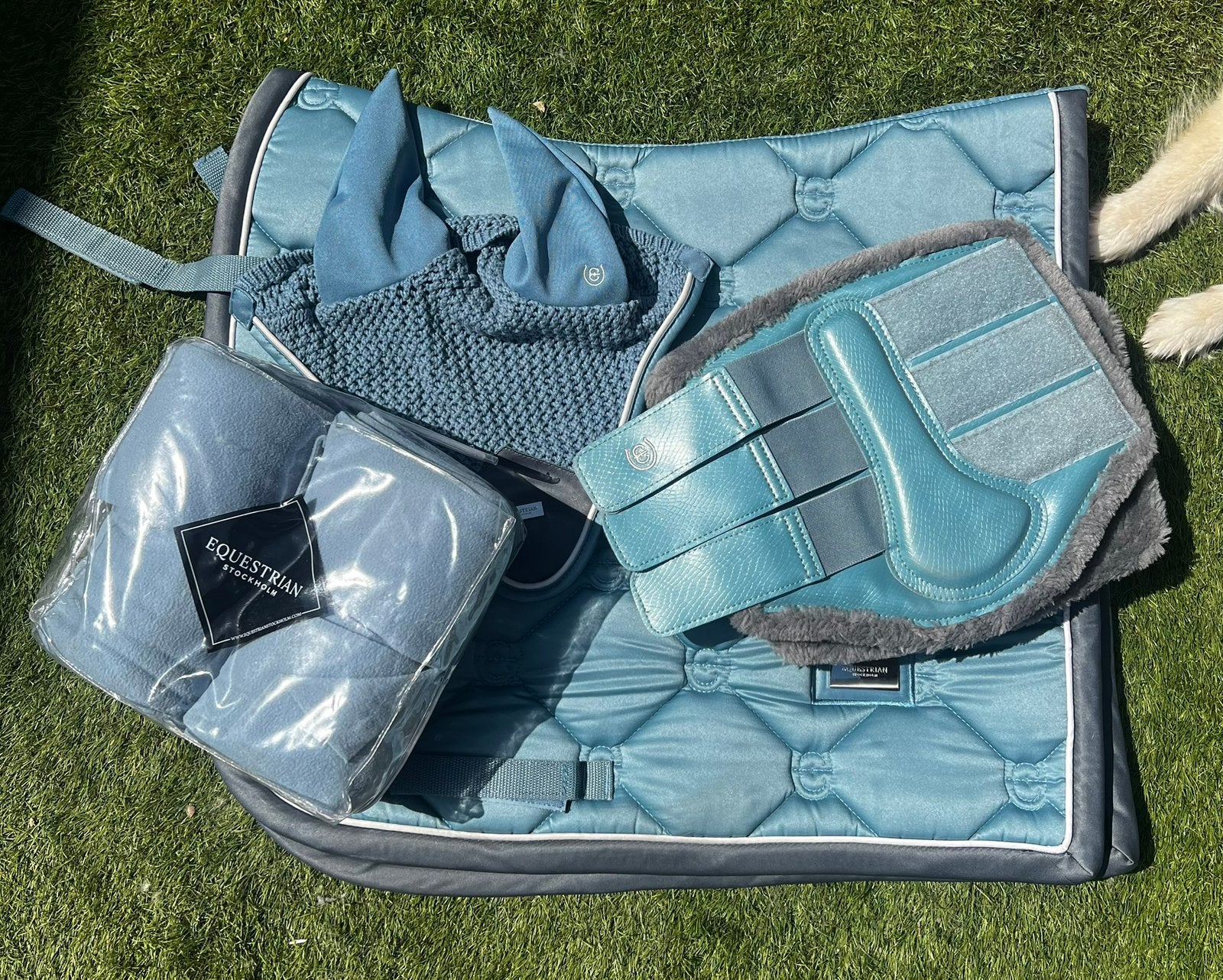 Equestrian stockholm steel blue set, Dieren en Toebehoren, Ophalen of Verzenden, Zo goed als nieuw