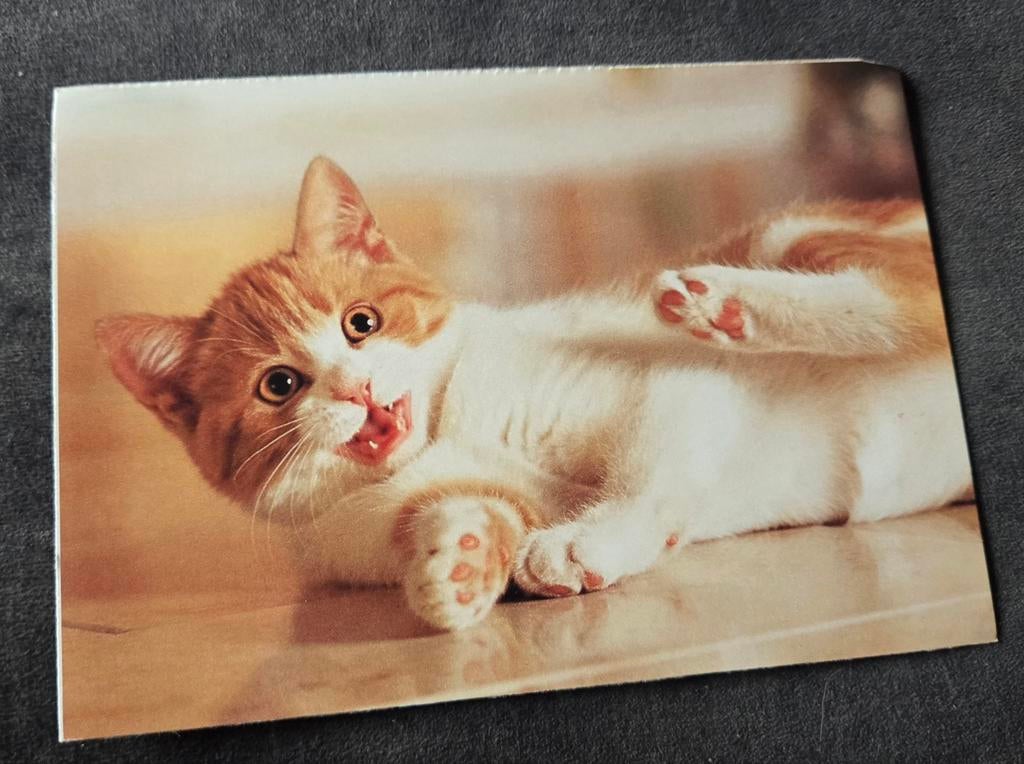 Schattig rood wit katje - Whiskas, Verzamelen, Verzenden, 1980 tot heden, Ongelopen, Hond of Kat