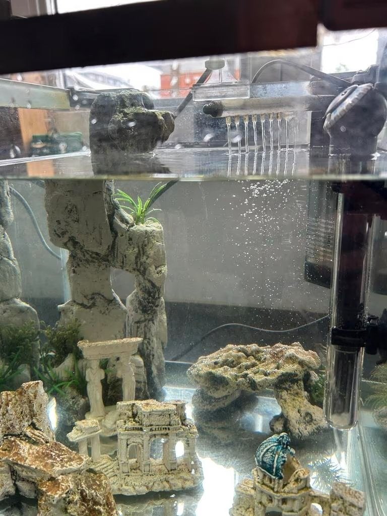 Een mooie kleine Aquarium (B30-H30-D30 cm), Ophalen, Gebruikt, Leeg aquarium