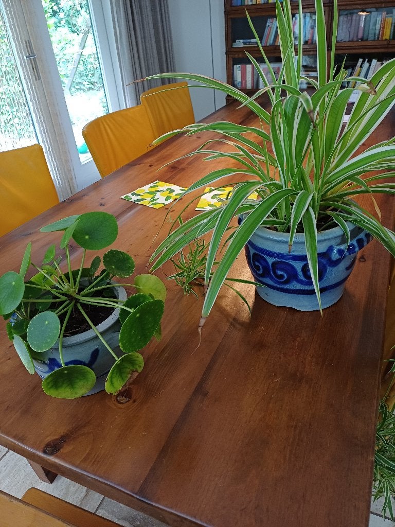 Keulse potten , bloempotten  vraagprijs €4 ps, Ophalen, Gebruikt, Rond, Balkon