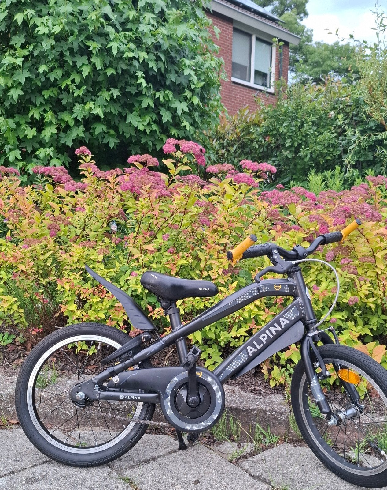 Kinderfiets Alpina Trial 16 inch kinderfiets / slot, Ophalen, Terugtraprem, Gebruikt, Handrem