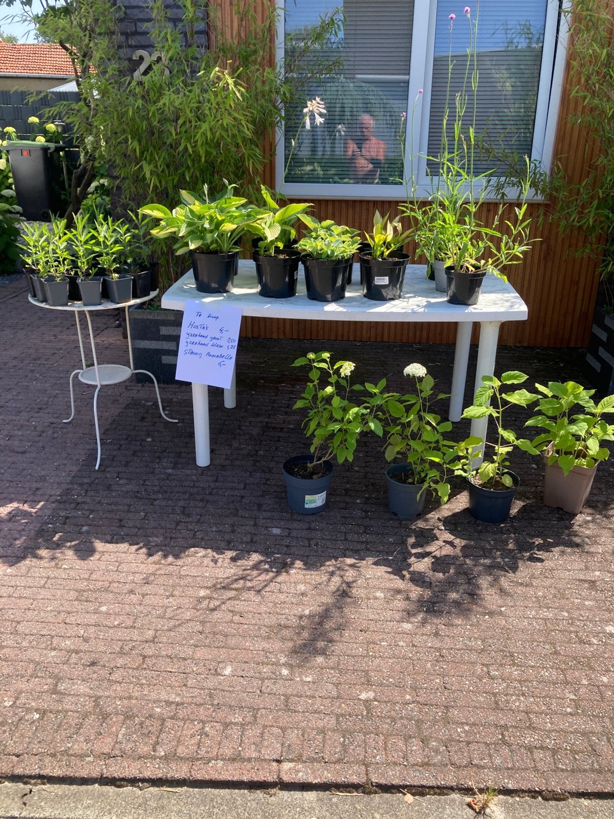 Planten te koop, Ophalen, Zo goed als nieuw, 2 zitplaatsen