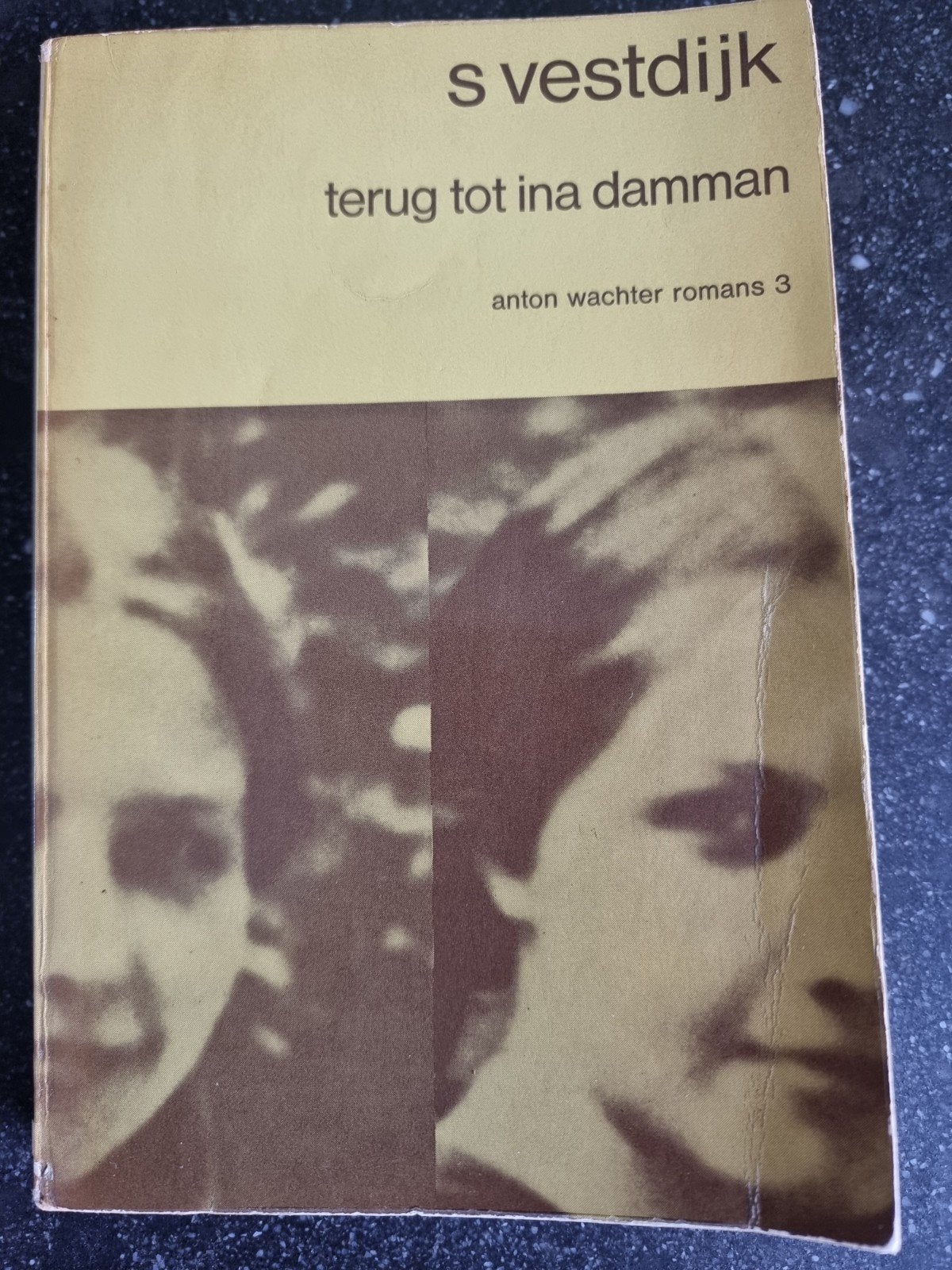 Terug tot Ina Damman - S. Vestdijk (Zesde Druk), Boeken, Romans, Ophalen of Verzenden, Gelezen, S. Vestdijk, Nederland