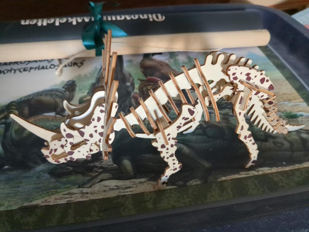 Houten skelet dino leuke kamer decoratie, Kinderen en Baby's, Kinderkamer | Inrichting en Decoratie, Ophalen of Verzenden, Wanddecoratie